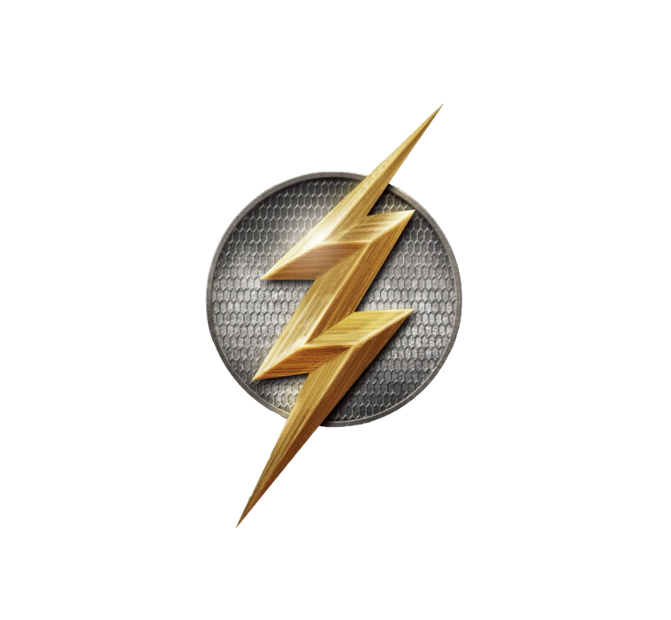 flashLogo